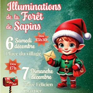 Illuminations de Noël