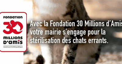 ANIMAUX DOMESTIQUES : TRAPPE CHATS ERRANTS