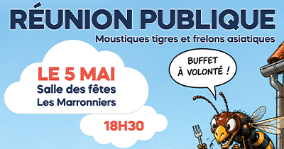ENVIRONNEMENT | Moustiques, frelons… Passons à l’action ensemble ! 