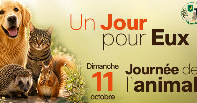 Un jour pour eux : une journée dédiée à l'animal à Auriol